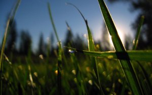 柳林縣紗線有限責任公司