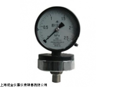 YPF-100A膜片壓力表 上海自動(dòng)化儀表四廠的精密測量解決方案