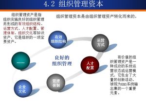 知識資本管理 企業(yè)資產(chǎn)管理的新維度